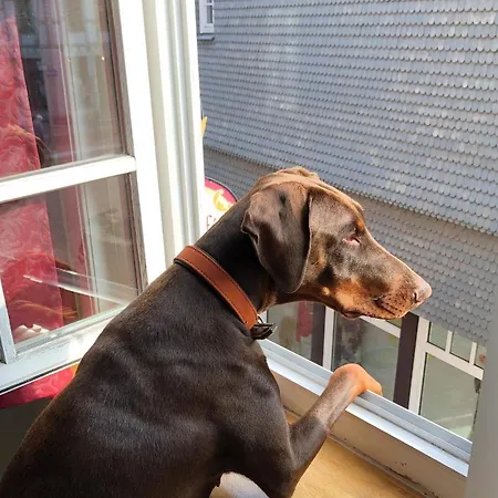 Hotel Haus Oberscholtes