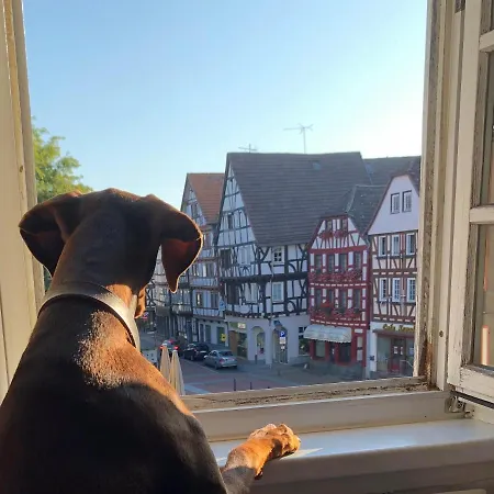 Hotell Haus Oberscholtes Grünberg